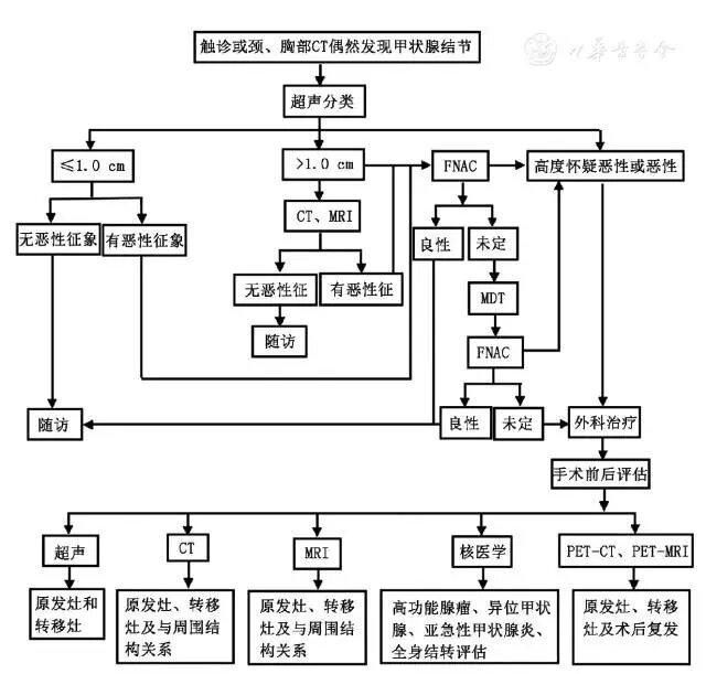 甲状腺结节影像检查流程专家共识